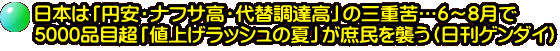 日本は「円安・ナフサ高・代替調達高」の三重苦…6～8月で 5000品目超「値上げラッシュの夏」が庶民を襲う（日刊ゲンダイ）