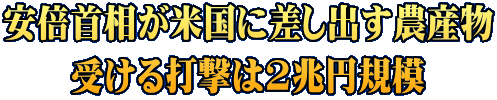 安倍首相が米国に差し出す農産物 受ける打撃は2兆円規模