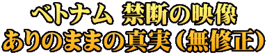 ベトナム 禁断の映像 ありのままの真実（無修正）